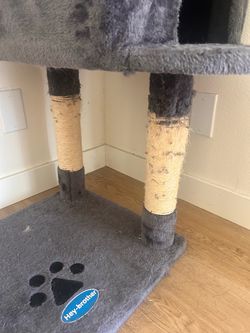 Cat Tree $10