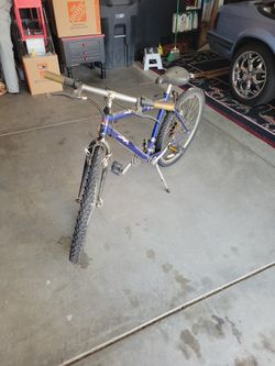 34 Speed Pepsi-FILA Mountain Bike