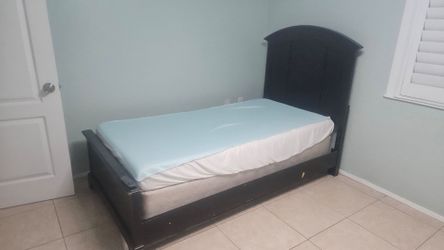 Cama