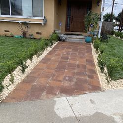 Plants, Mulch,grass ,irrigation System