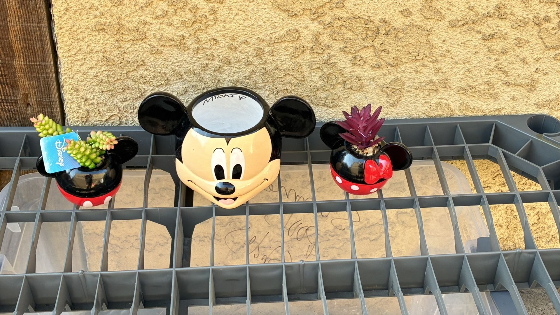 Disney Mickey Planter And Mickey & Minnie Plant