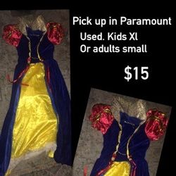 Snow white costume