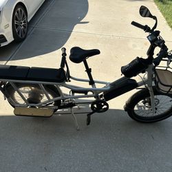 Radwagon 4 E-bike 