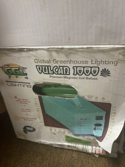 1000W Ballast (3)