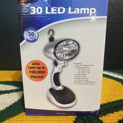 Sona Enterprises SE FL89030L 30-LED Work Lamp.