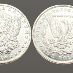 1879 Morgan Silver Dollar Uncirculated 