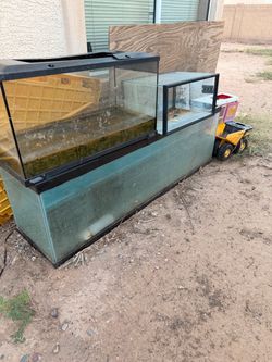 Free fish tanks