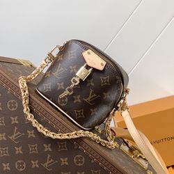  Louis Vuitton Bag 