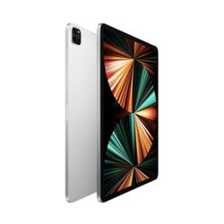 Brand New iPad Pro