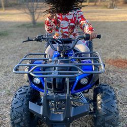 Cougar Rider 9 Four Wheeler