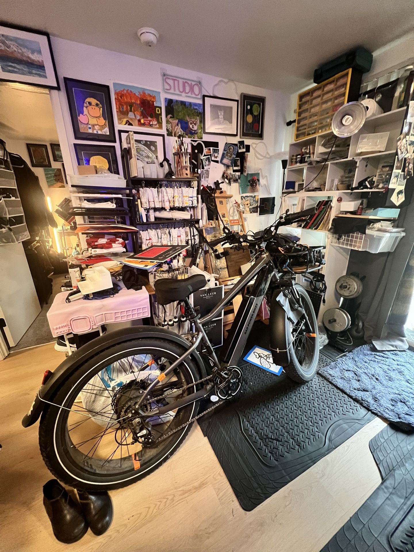 Rad Rover Power Bikes