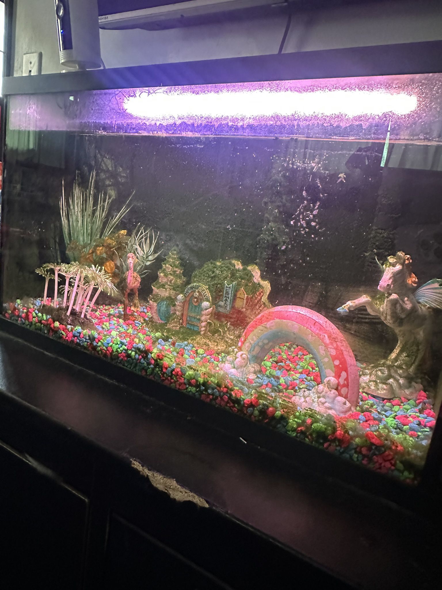 Glow In The Dark Fish Tank
