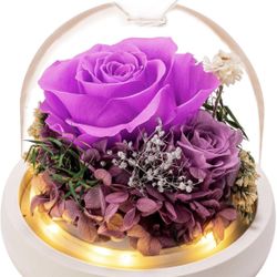 Brand new Preserved Flower Bouquets - Forever Roses Birthday Gifts for Women (Battery Included)
