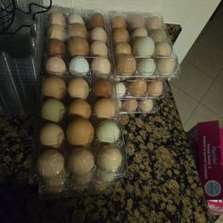 Fresh Eggs 