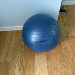 GOLD'S GYM Anti-Burst Core Workout Body Ball
