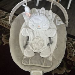 Baby Bouncer