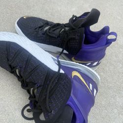 Lebron 18 Lakers