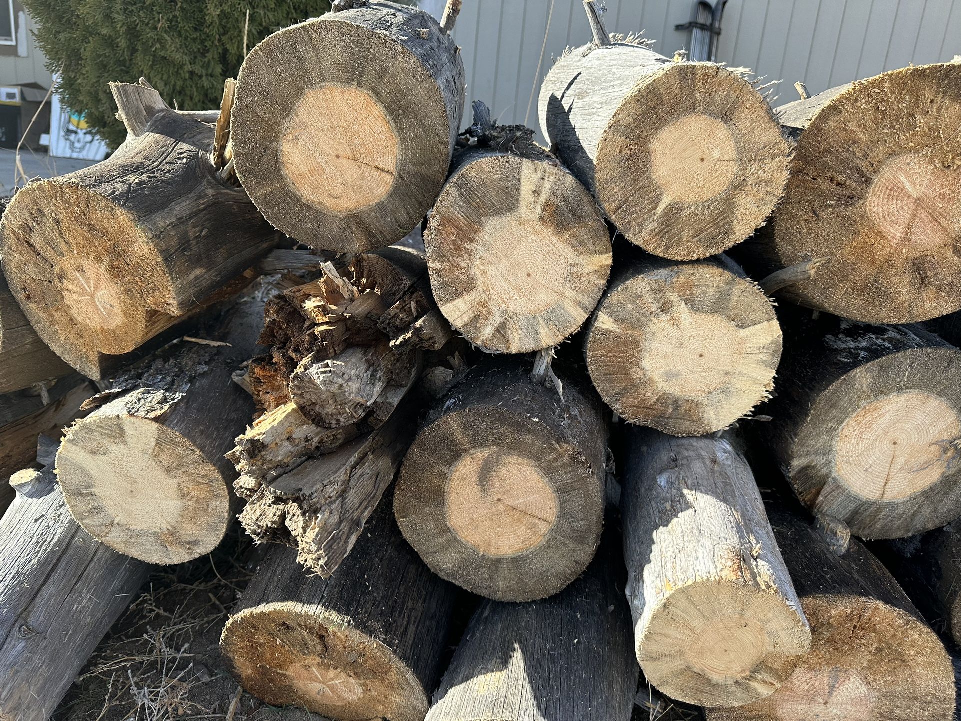 Firewood