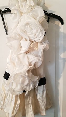 Bebe Women's Ruffle Blouse