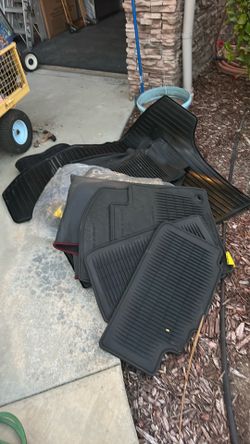 Free Lexus RX flood mats authentic from the dealer