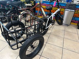 Euybike with Bike Trailer 30mph