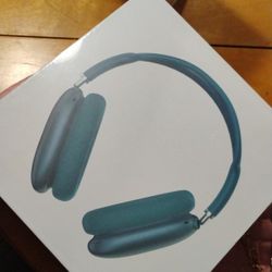Apple Max Headphones 🎧 (teal) 