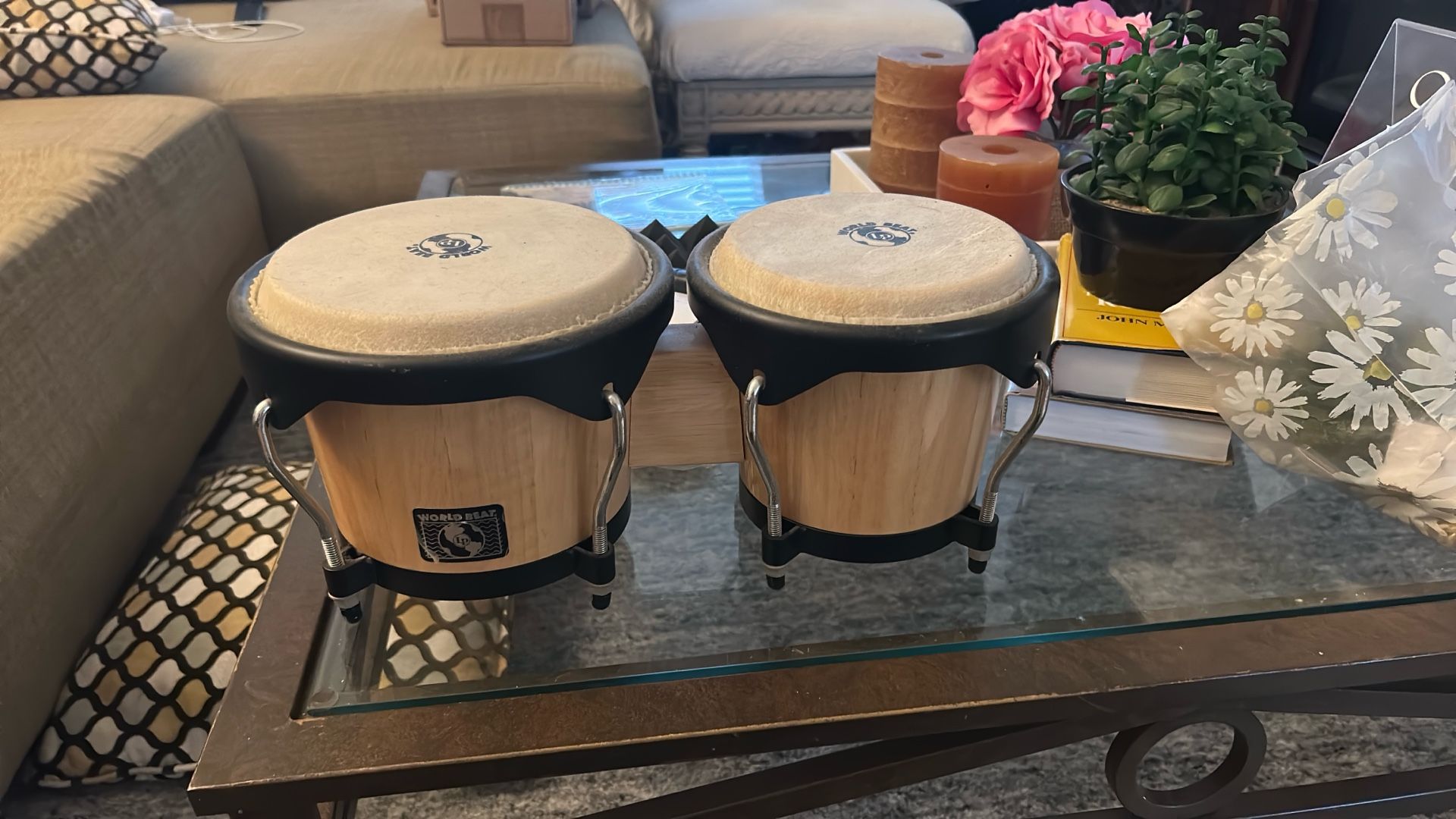 Bongo Drum