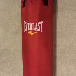 Red Everlast punching bag