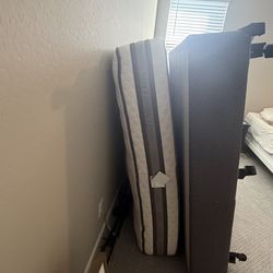 FREE Queen Sized Bed w/ headboard, box spring, and frame