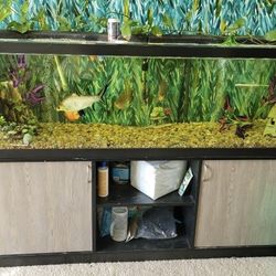 125 Gallon Tank With Stand 
