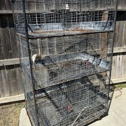 Bunny Cages