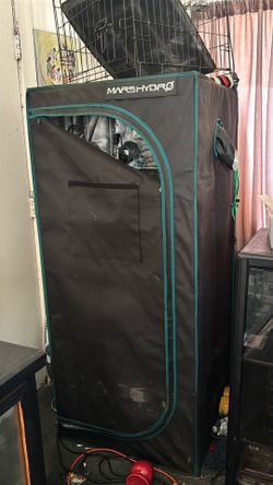 Mars hydro grow