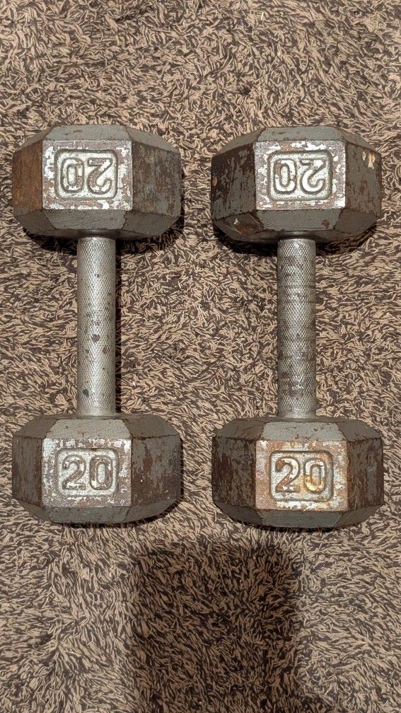 20 Lb Hex dumbbell \pair