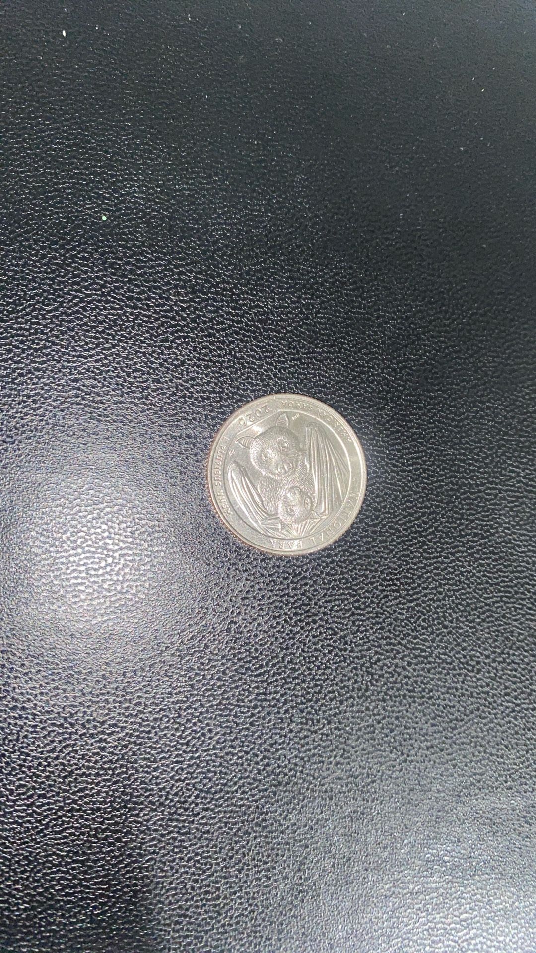 Bat Quarter Rare