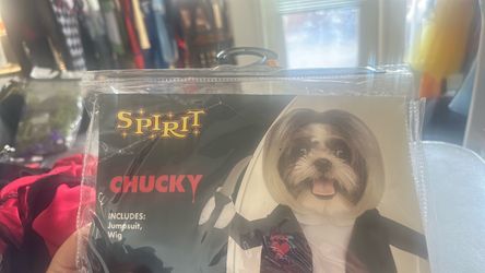 Doggy costumes