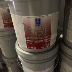 Paints Primer 