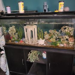 Fish Tank And Cabinet 