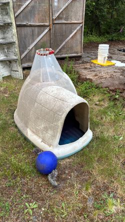 Free Xl dog igloo