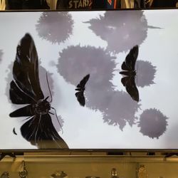 Hisense 58” Class 4K UHD LED LCD Roku Smart Tv