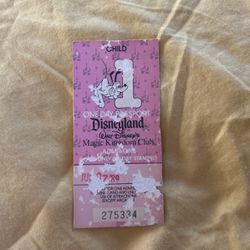 Disney One Day Pass Collectible 