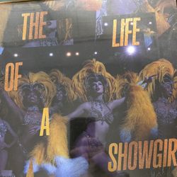 Taylor Swift The Life of the Showgirl, Baby, That's Show Business Edition, Lovely Bouquet Golden Vinyl 