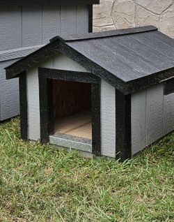 Dog House