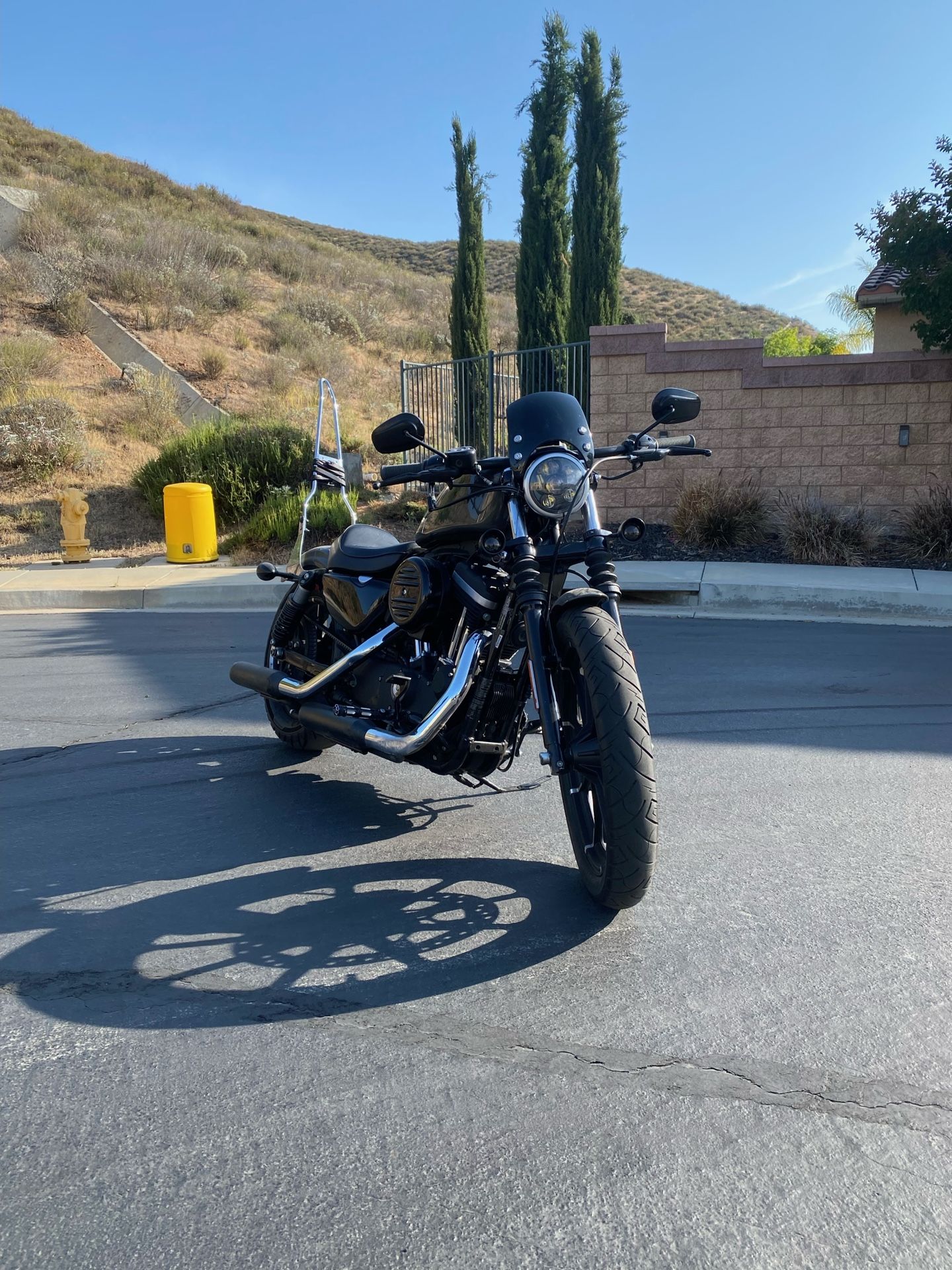 2019 Harley Davidson Iron 883