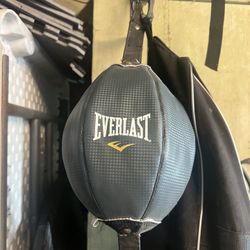 Everlast speed Bag 