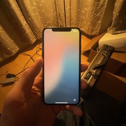 iPhone X