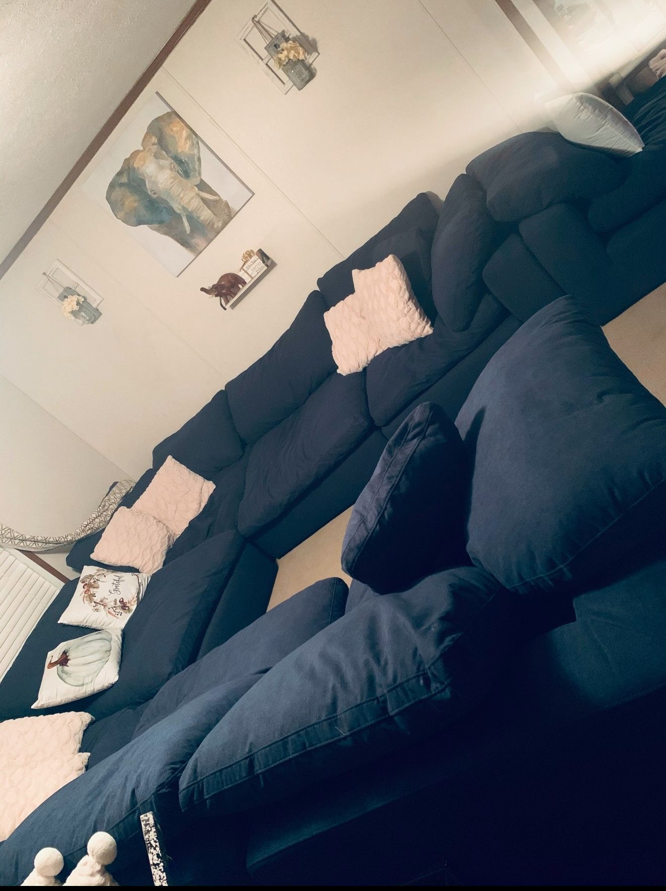 Dream Couch