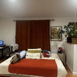 Natural Wood Bed Frame - Low Zen Profile 