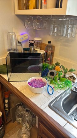 2.5 Gallon Glass Tank/ Accessories