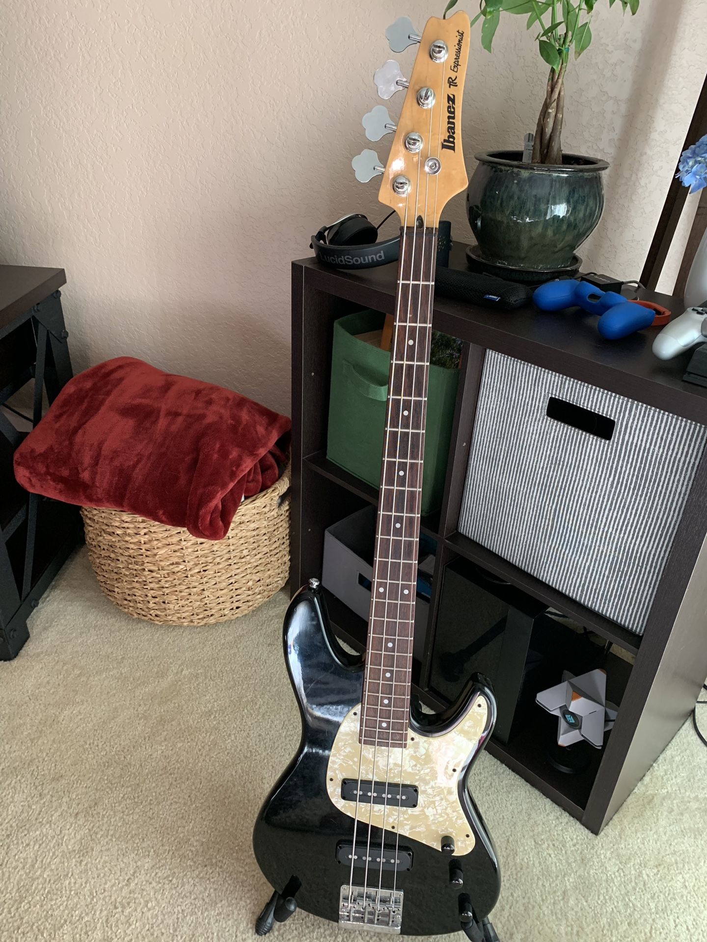 Ibanez tr sale expressionist bass
