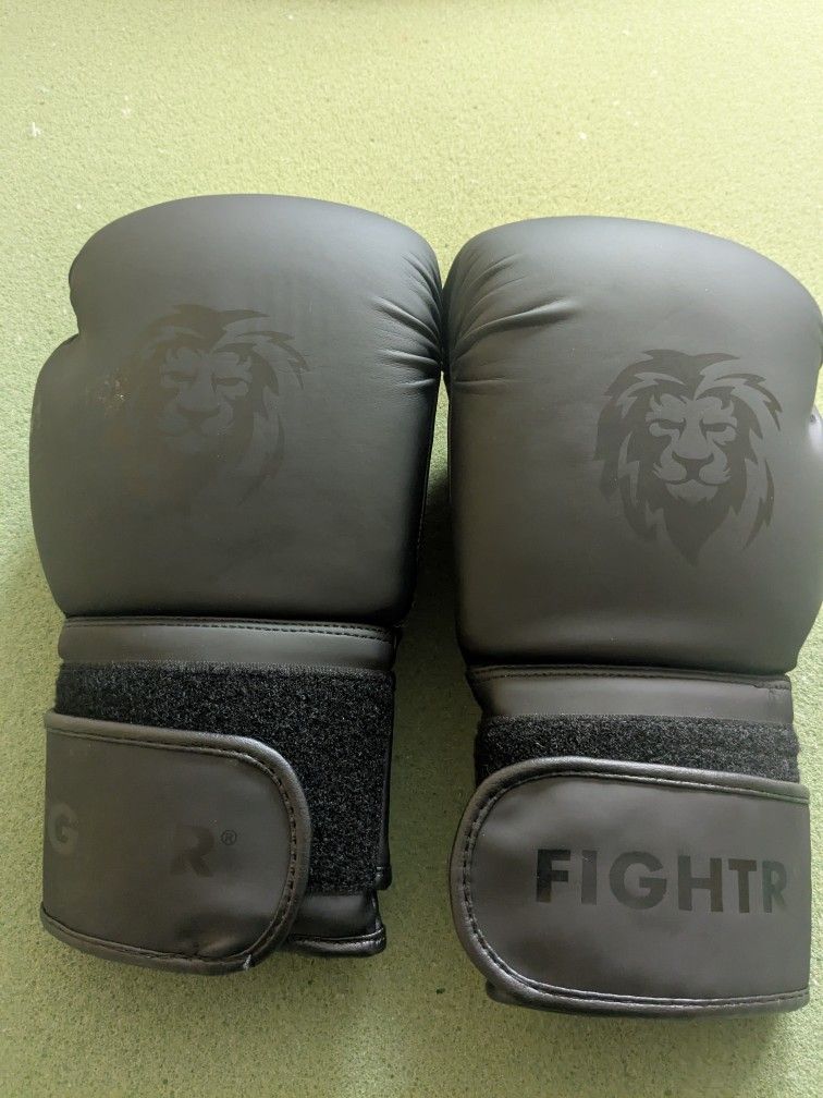 Fightr Boxing Gloves
